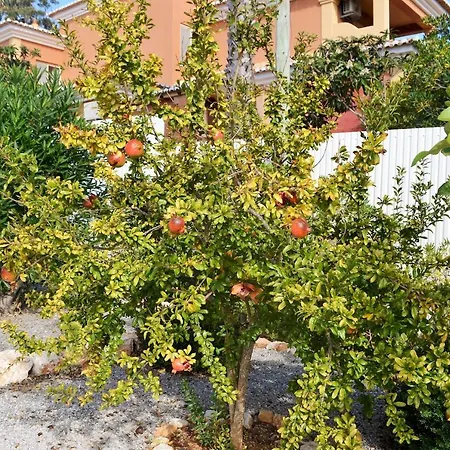Casa Cama Da Vaca *